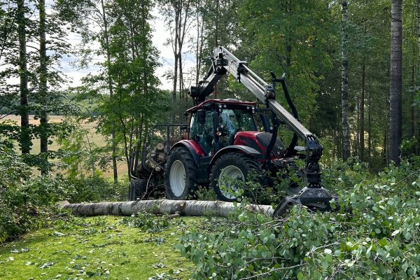 kuvitus-tonttihakkuut-ja-raivaukset kuvitus-tonttihakkuut-ja-raivaukset